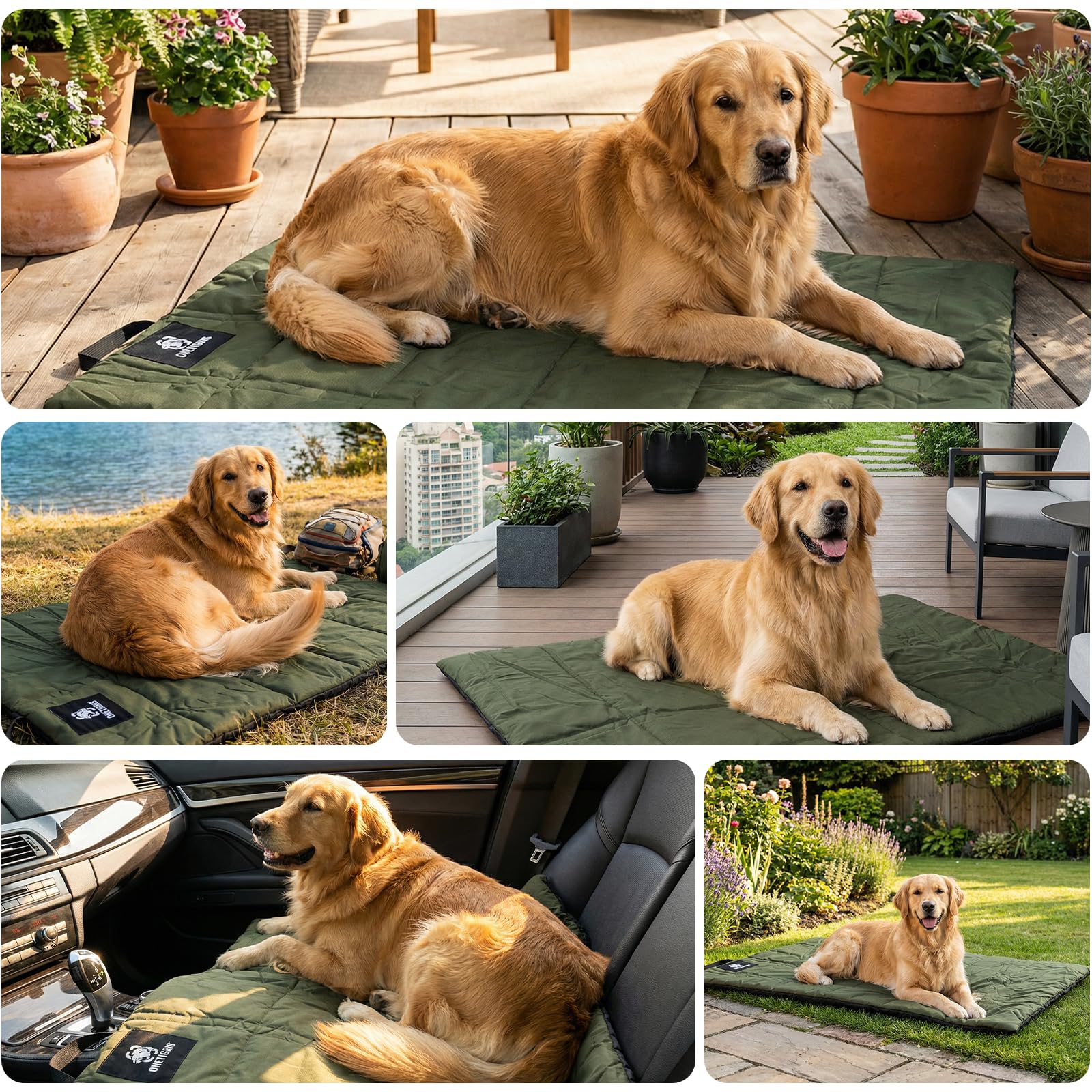 Great companion for camping, hiking, or car trips with pets.