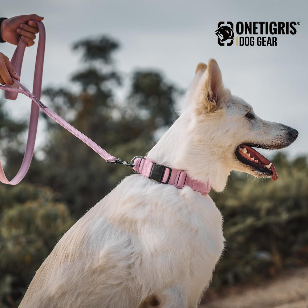 ONETIGRIS adjustable collar system ensures precise, comfortable fit for medium to large dogs.