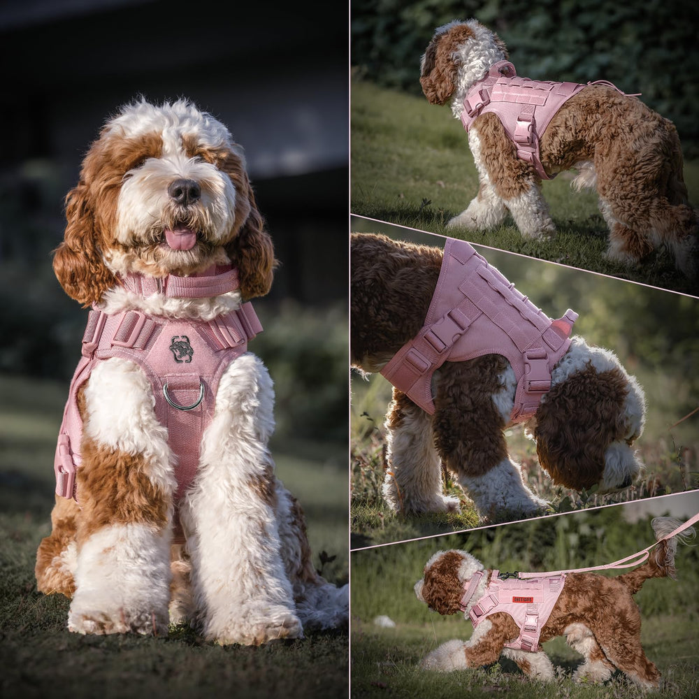 OneTigris adjustable dog harness for easy on/off and secure fit.