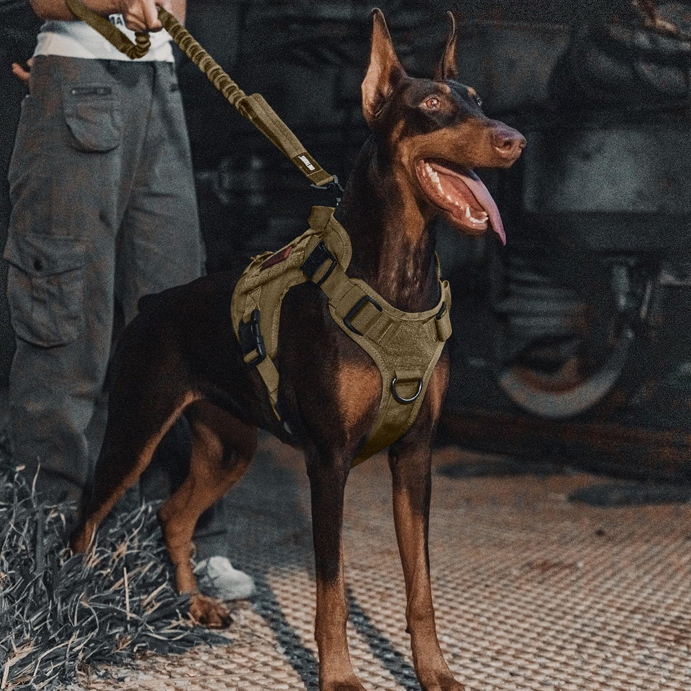 OneTigris tactical leash with elasticity reduces strain during walks