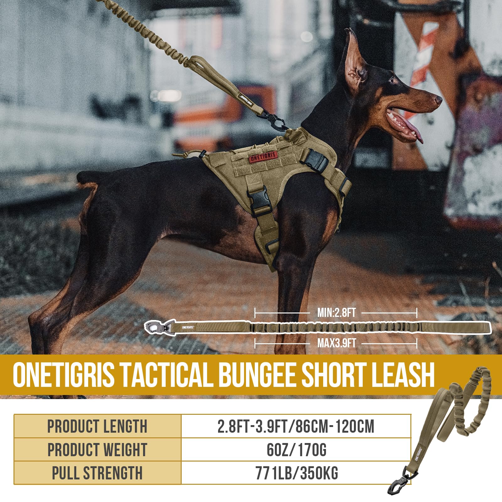 OneTigris bungee leash quick-release in tan enables fast, safe transitions
