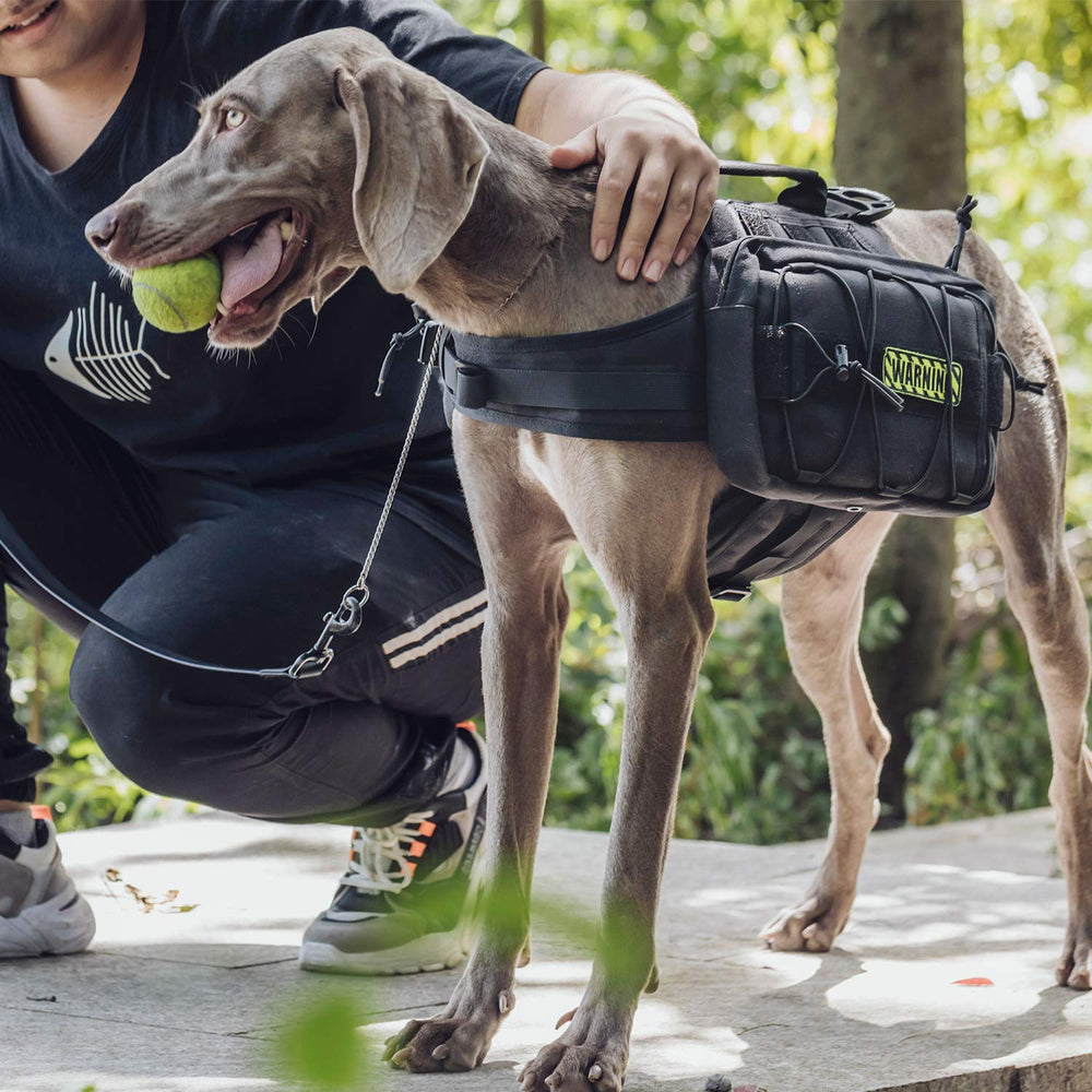 ONETIGRIS dog backpack illustrating a snug fit with adjustable neck and chest straps.