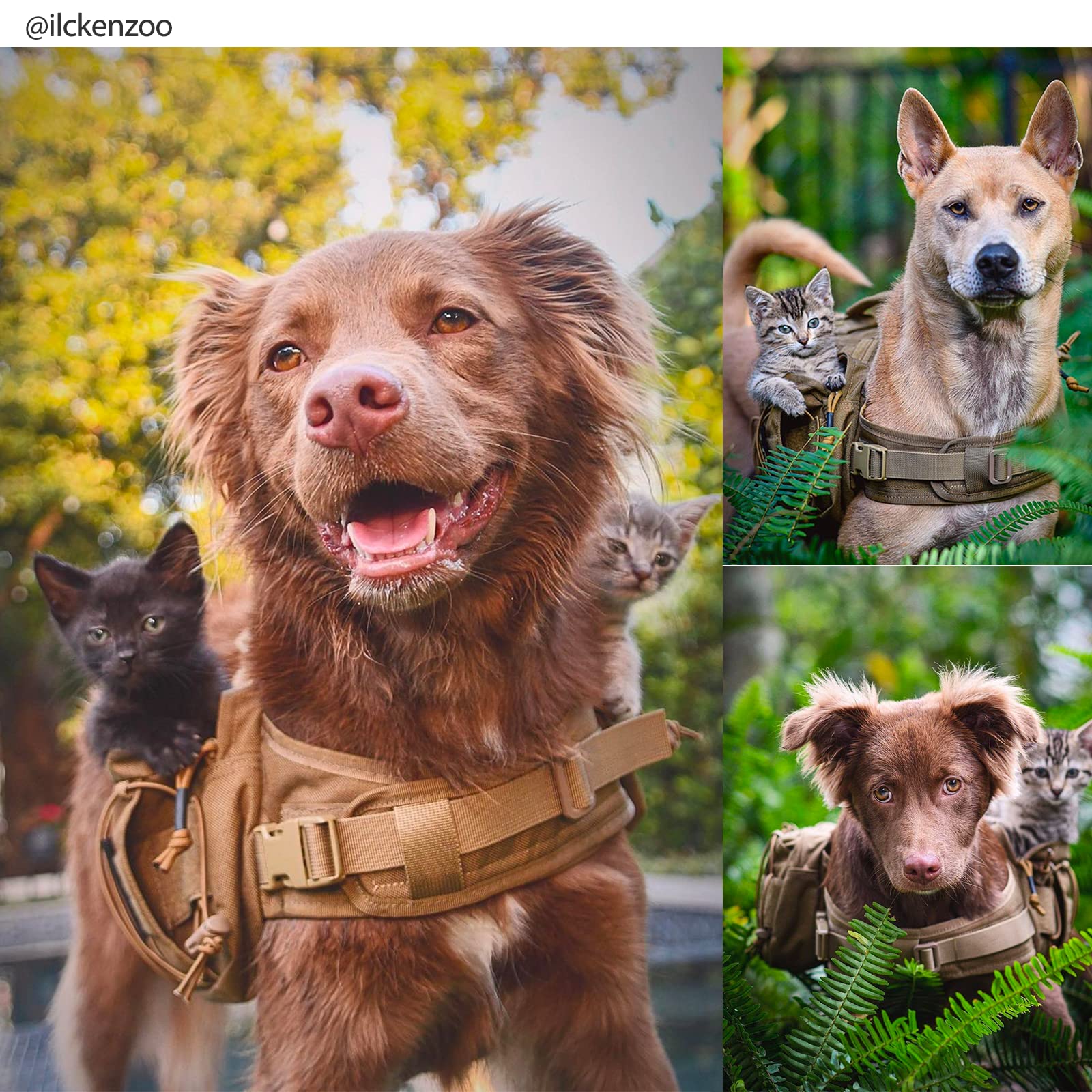 ONETIGRIS dog backpack with reinforced grab handle and UTX-Duraflex clips.