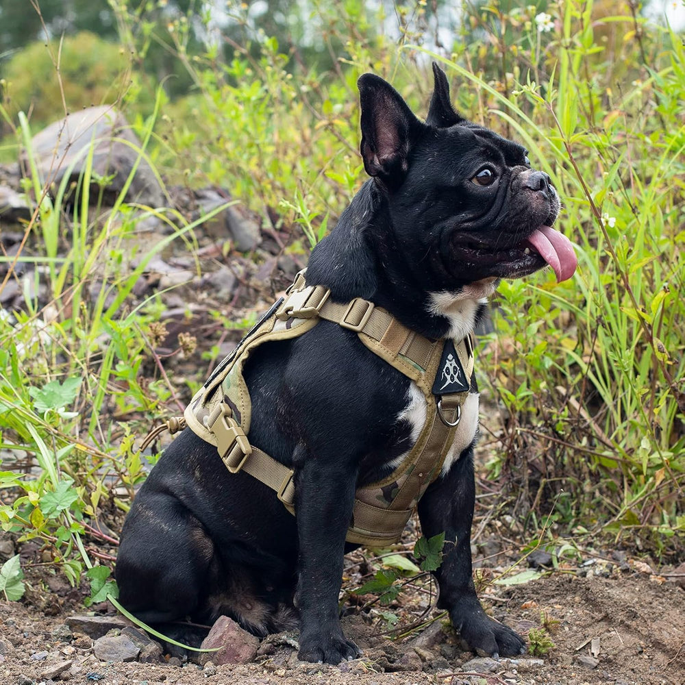 OneTigris dog harness camo leash attachment aids steady guiding during training