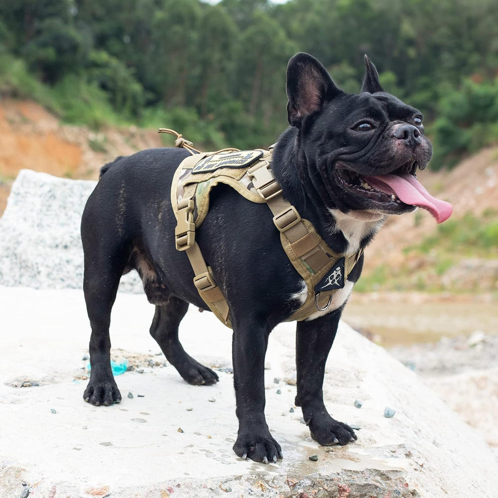 OneTigris harness camo traffic handle enables controlled movement in crowds