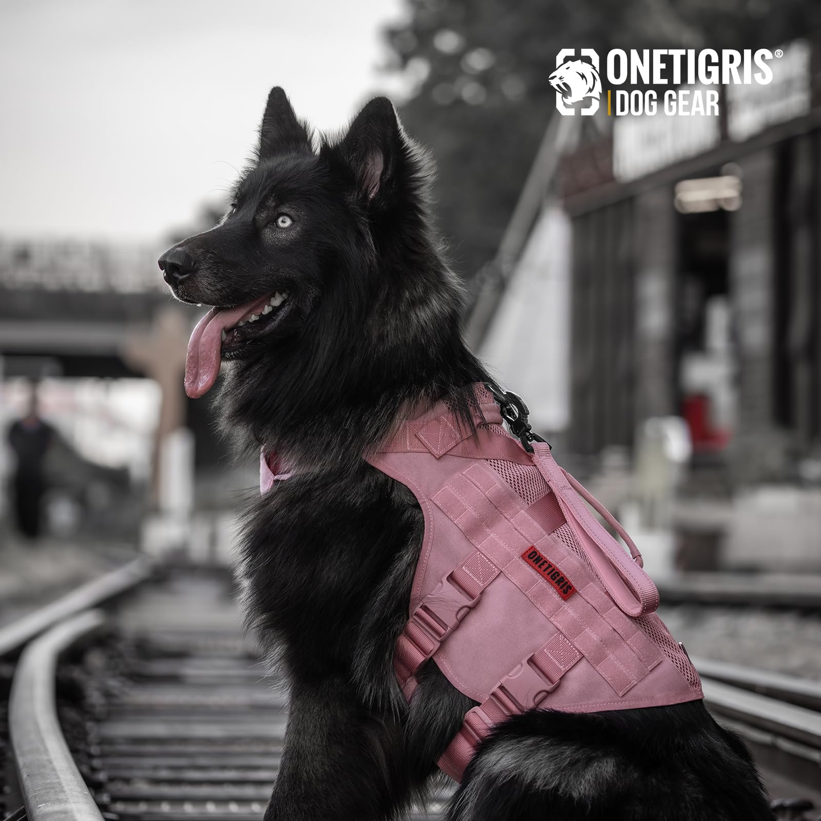 OneTigris harness shown during hiking for practical daily adventures