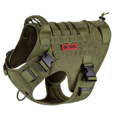 OneTigris dog harness front view showing no-pull design for outdoor walks.