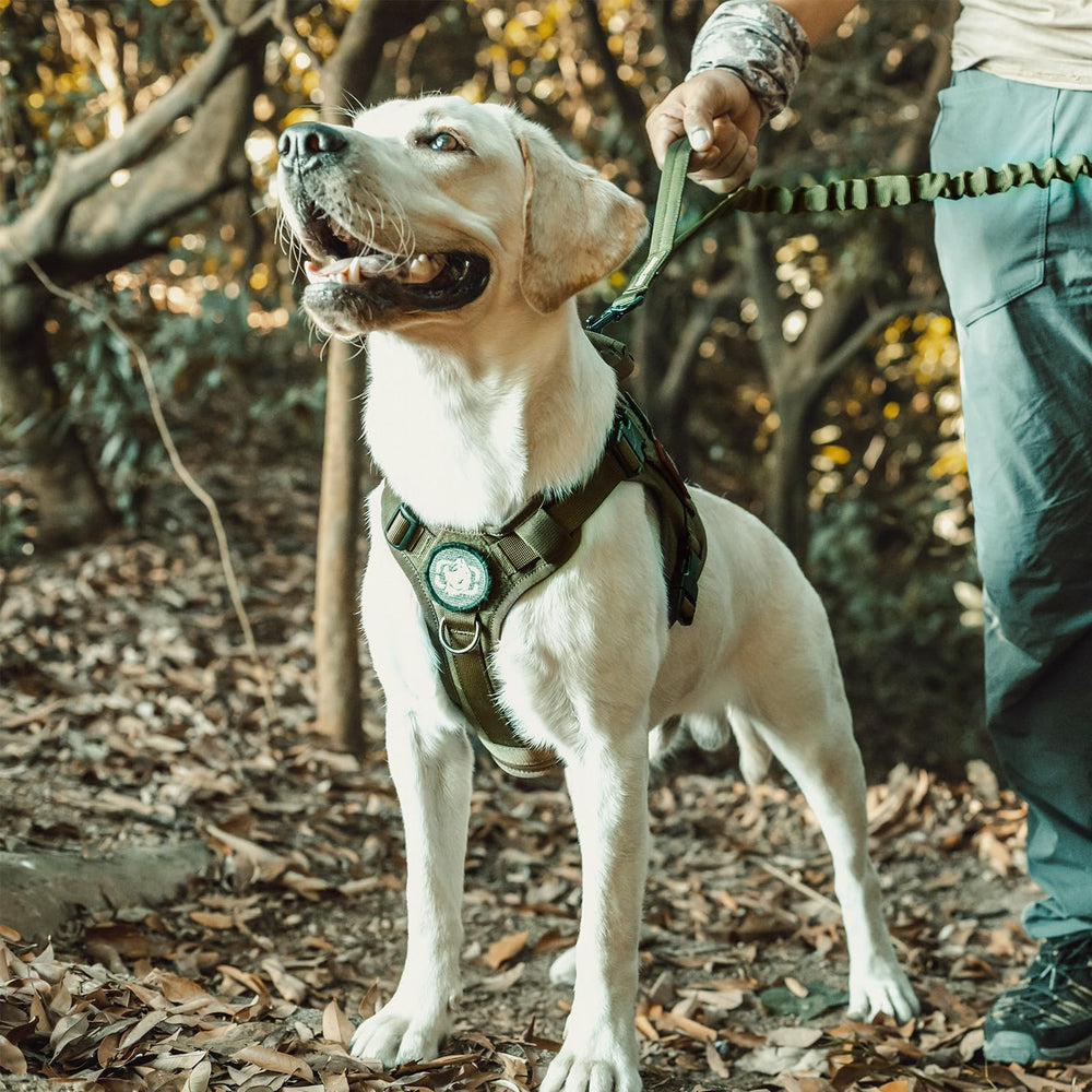 OneTigris dog harness neck and chest measurement view for sizing.