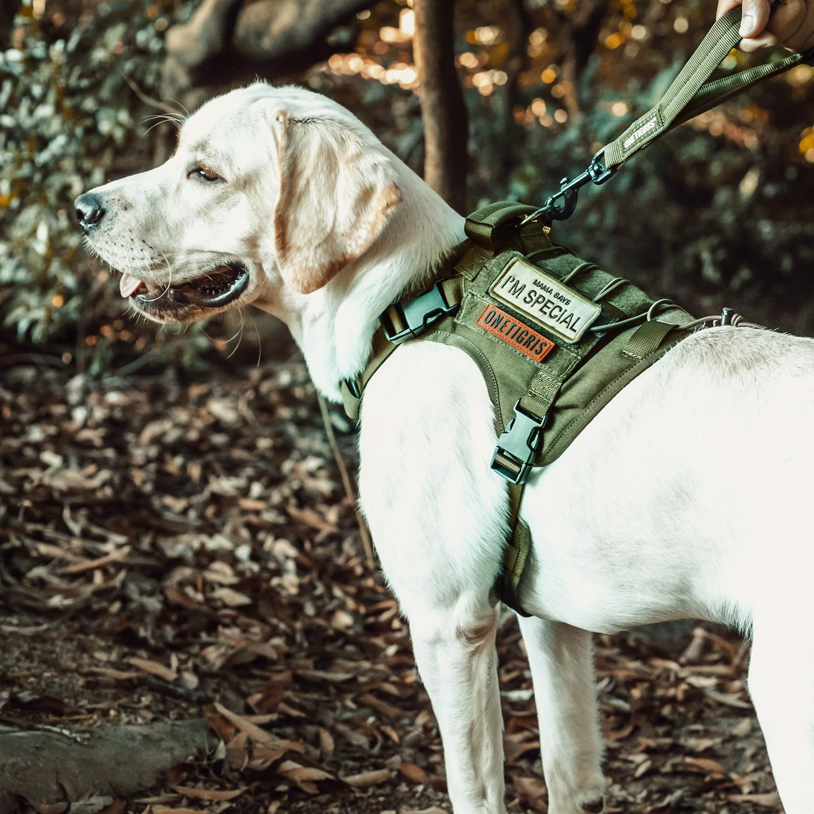 OneTigris harness highlights padded areas for comfort on long walks.