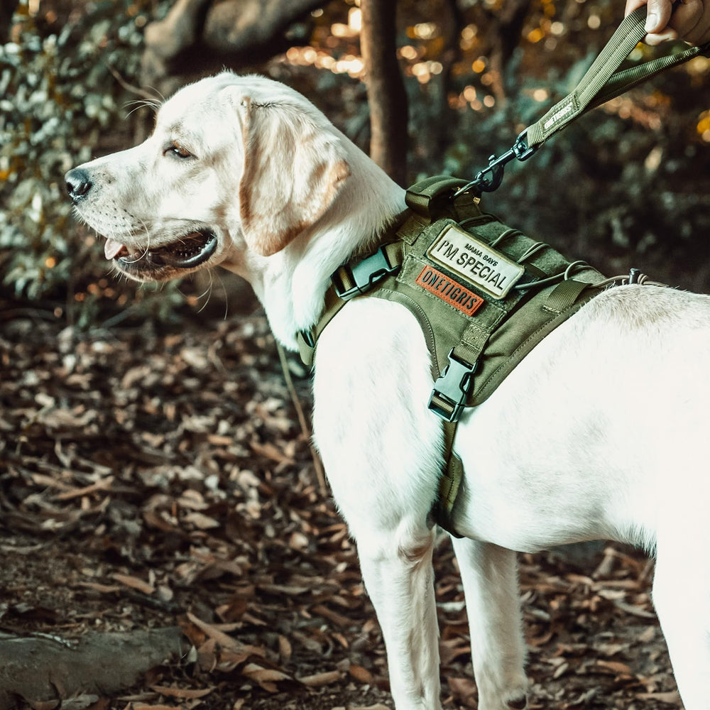 OneTigris harness highlights padded areas for comfort on long walks.