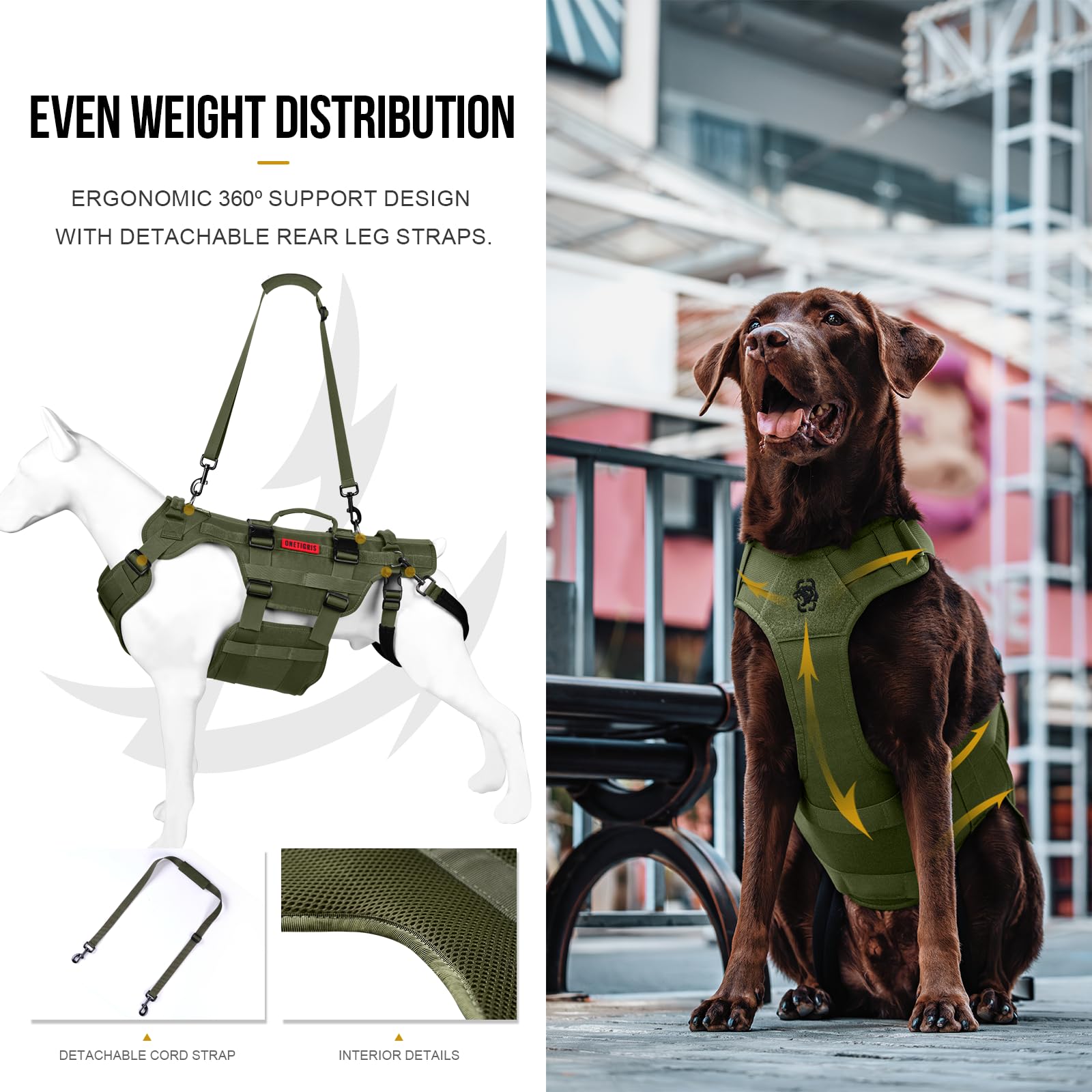 ONETIGRIS dog lift harness rear view highlights leg straps.