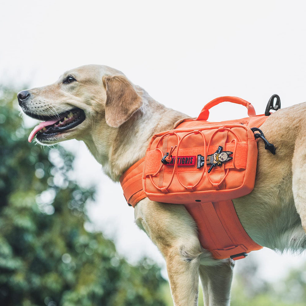 OneTigris Mammoth nylon grab handle for quick leash control