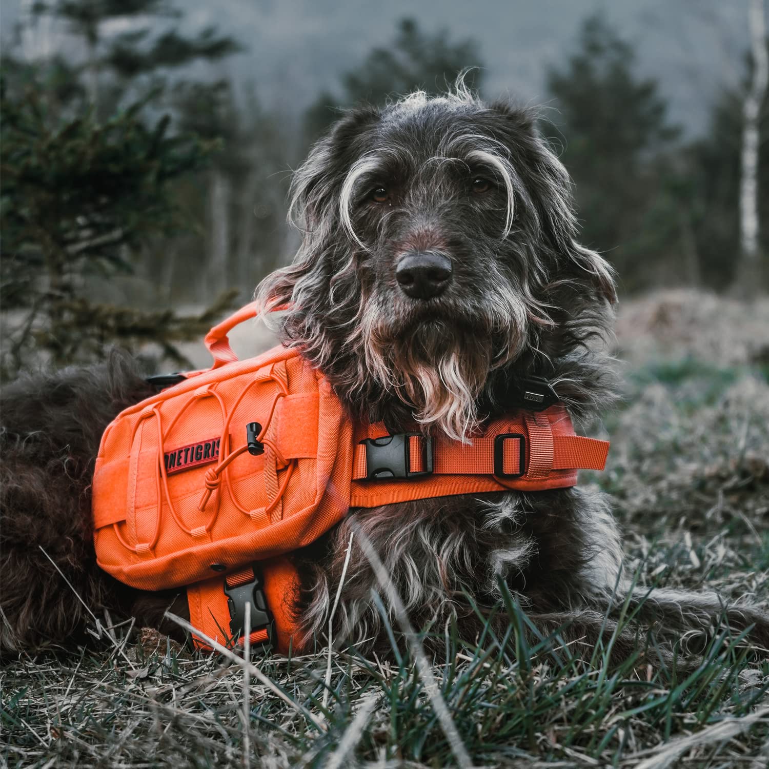 OneTigris Mammoth pack neck and belly straps provide stability
