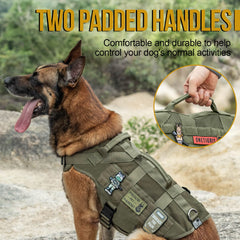 OneTigris front and back D-rings offer versatile leash training options.