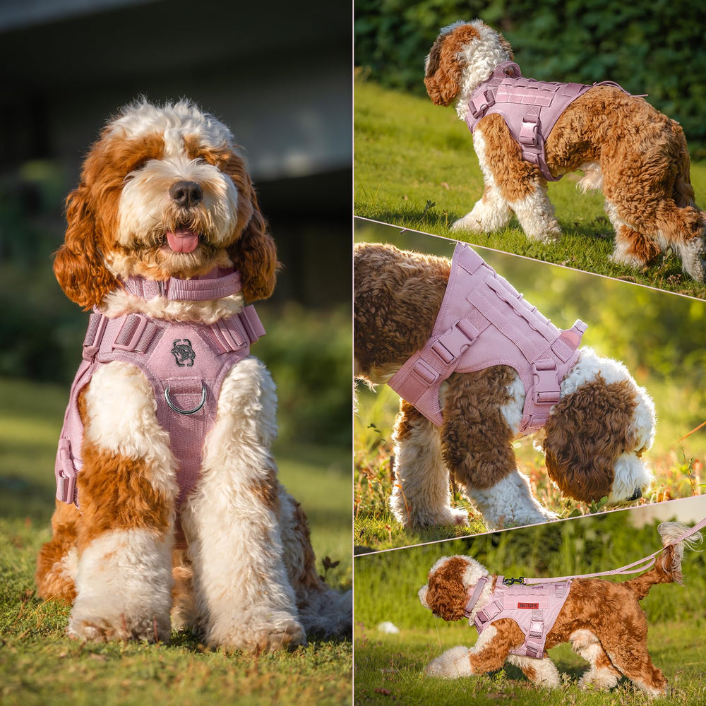 OneTigris front leash attachment guides your dog's lead during walks