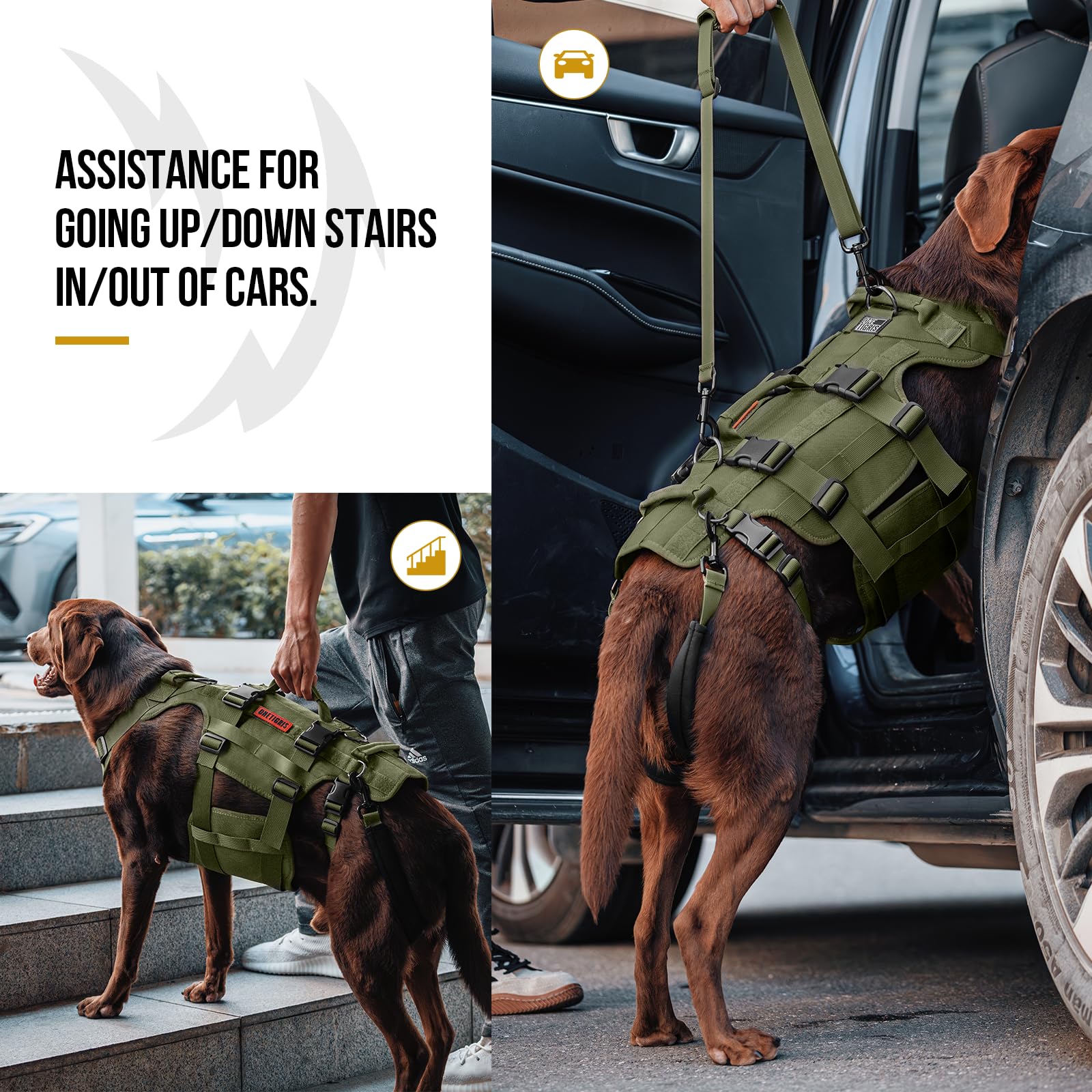 ONETIGRIS Invictus mobility vest worn demonstration for senior dog assistance.