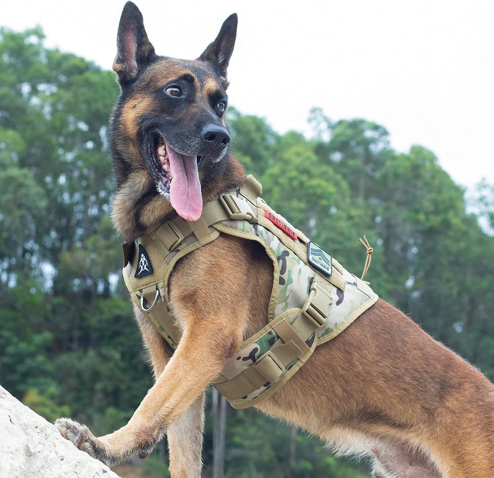 OneTigris loop panels for patches and identification on the harness.