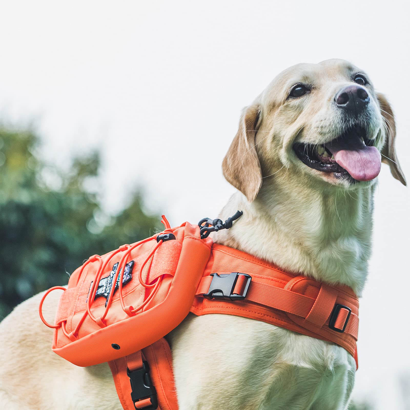 ONETIGRIS Mammoth dog pack in use during hiking shows practical organization.