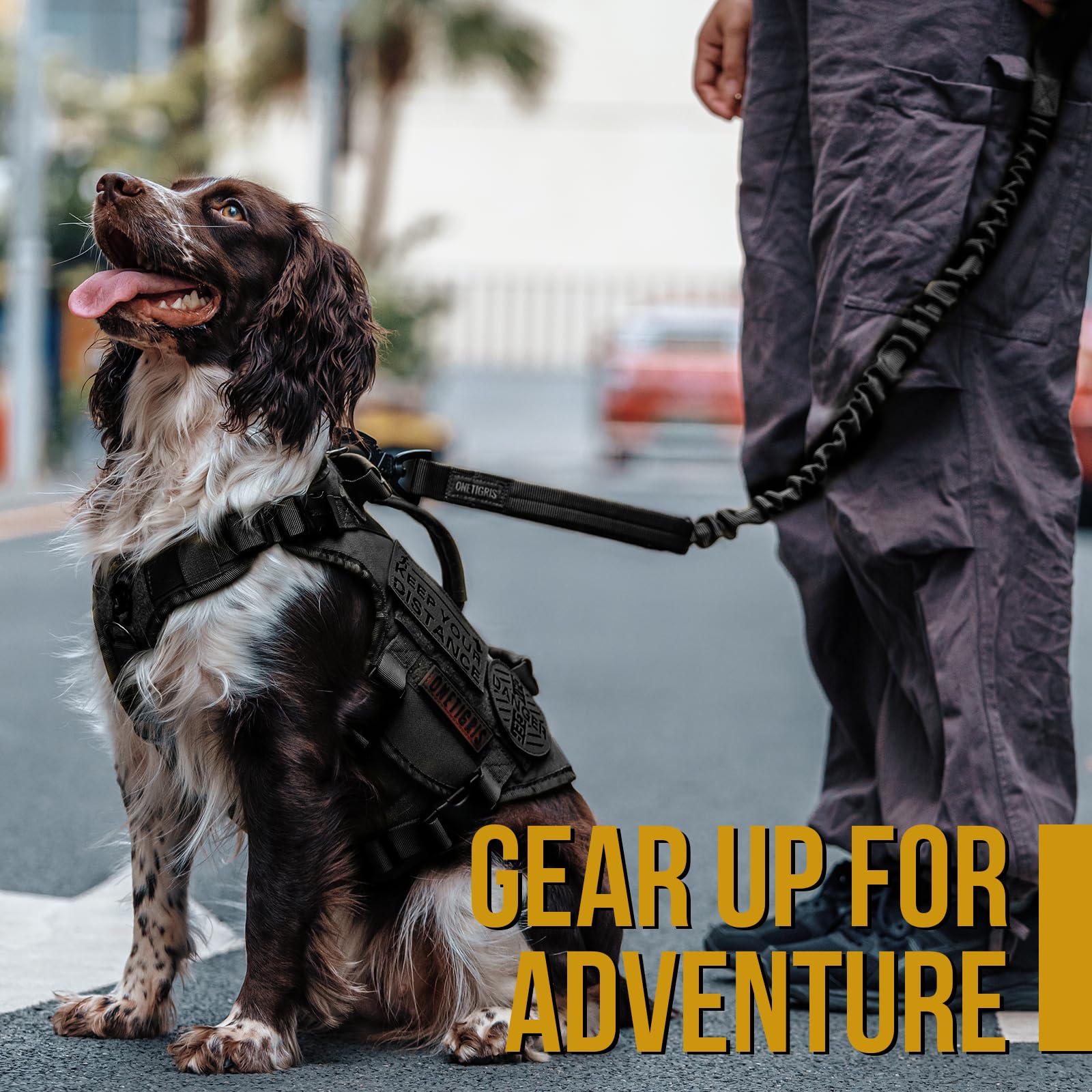 OneTigris Molle harness compatibility supports secure outdoor setups.