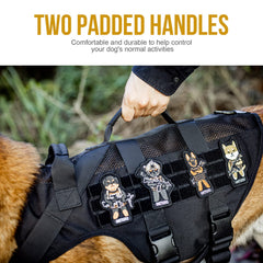 OneTigris No Pull harness back view showing MOLLE integration