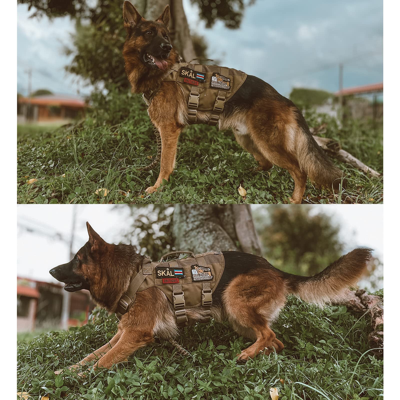 OneTigris no-slide chest piece ensuring secure fit during walks.