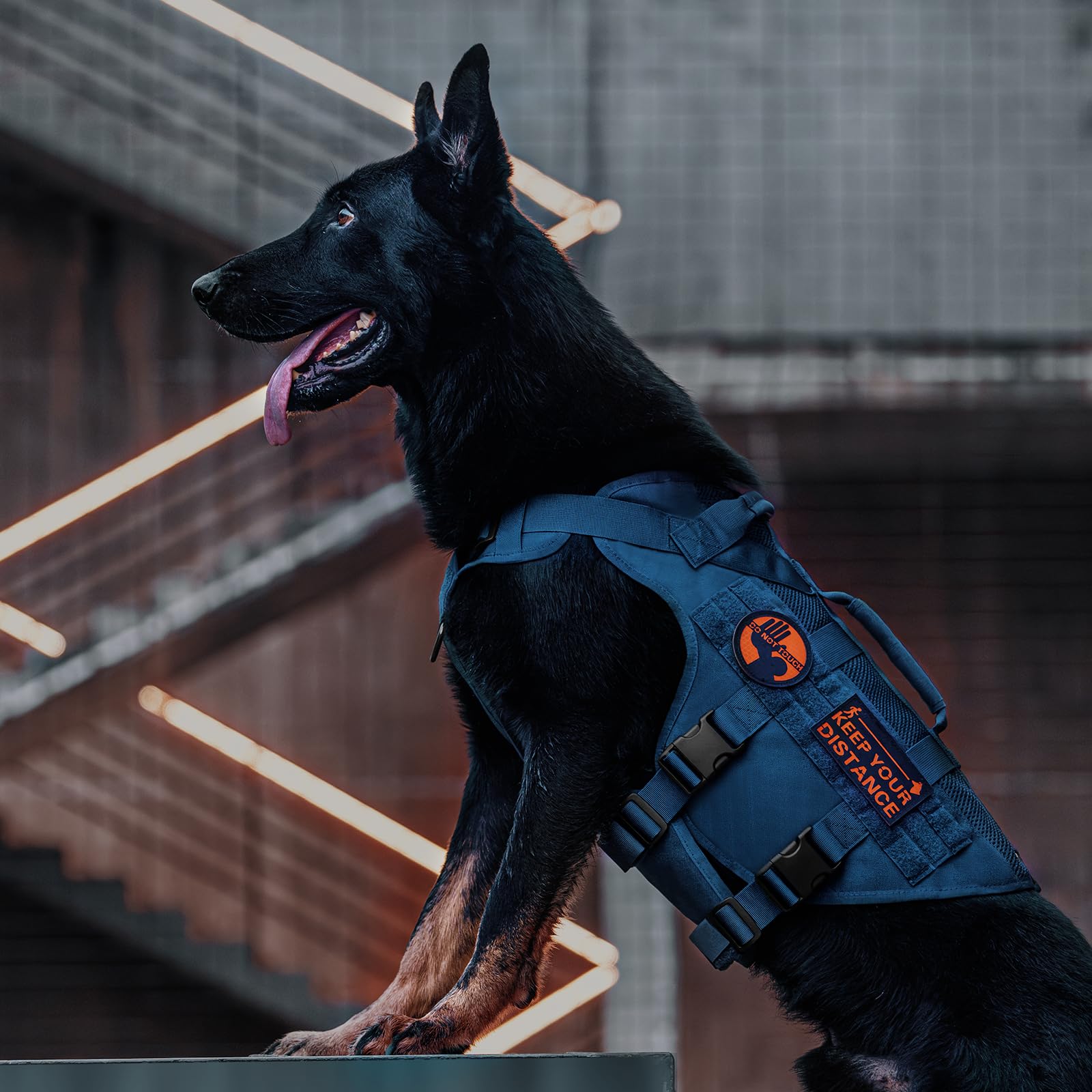 OneTigris no-slide chest piece offers extra stability during movement.