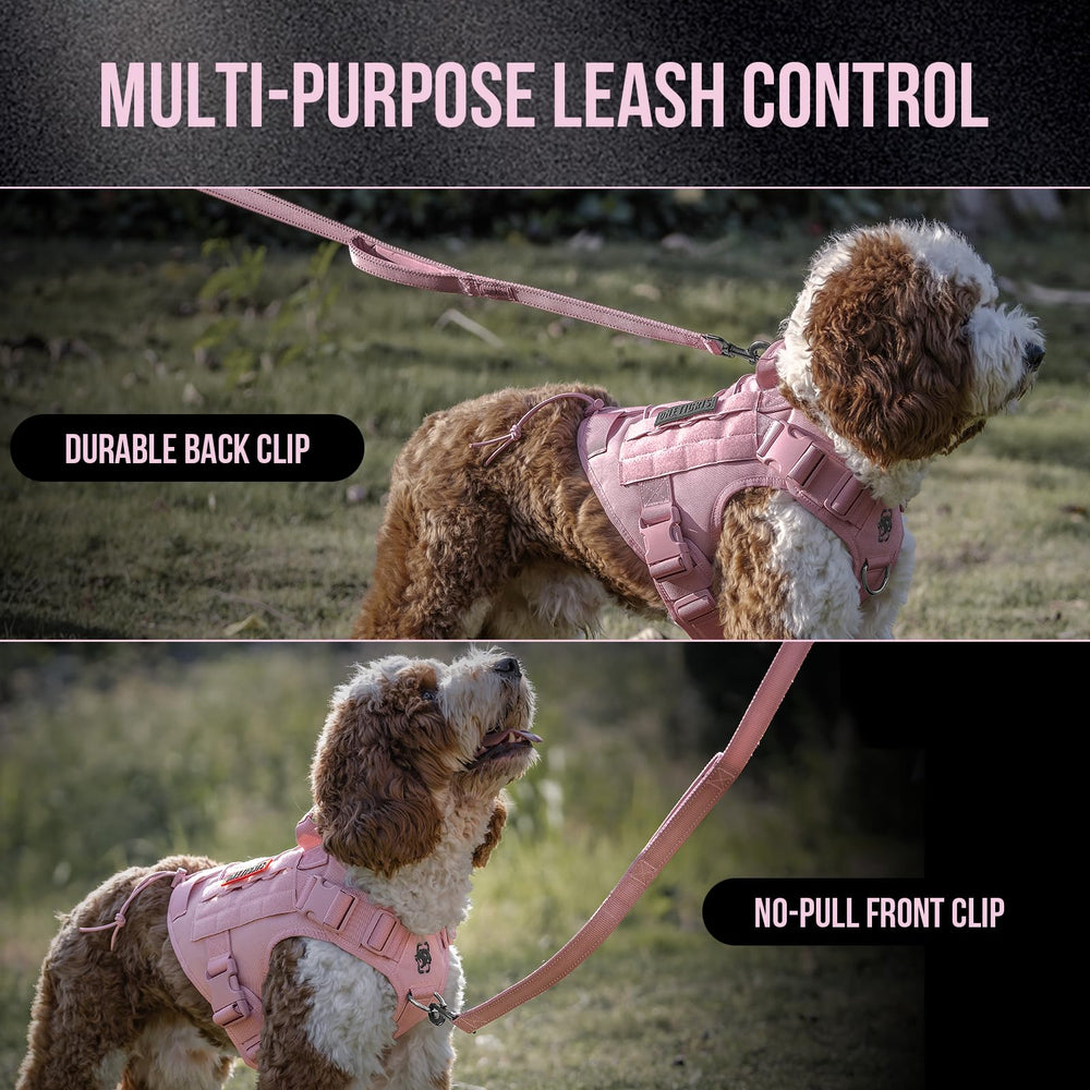 OneTigris 1000D nylon dog harness for durable daily use.
