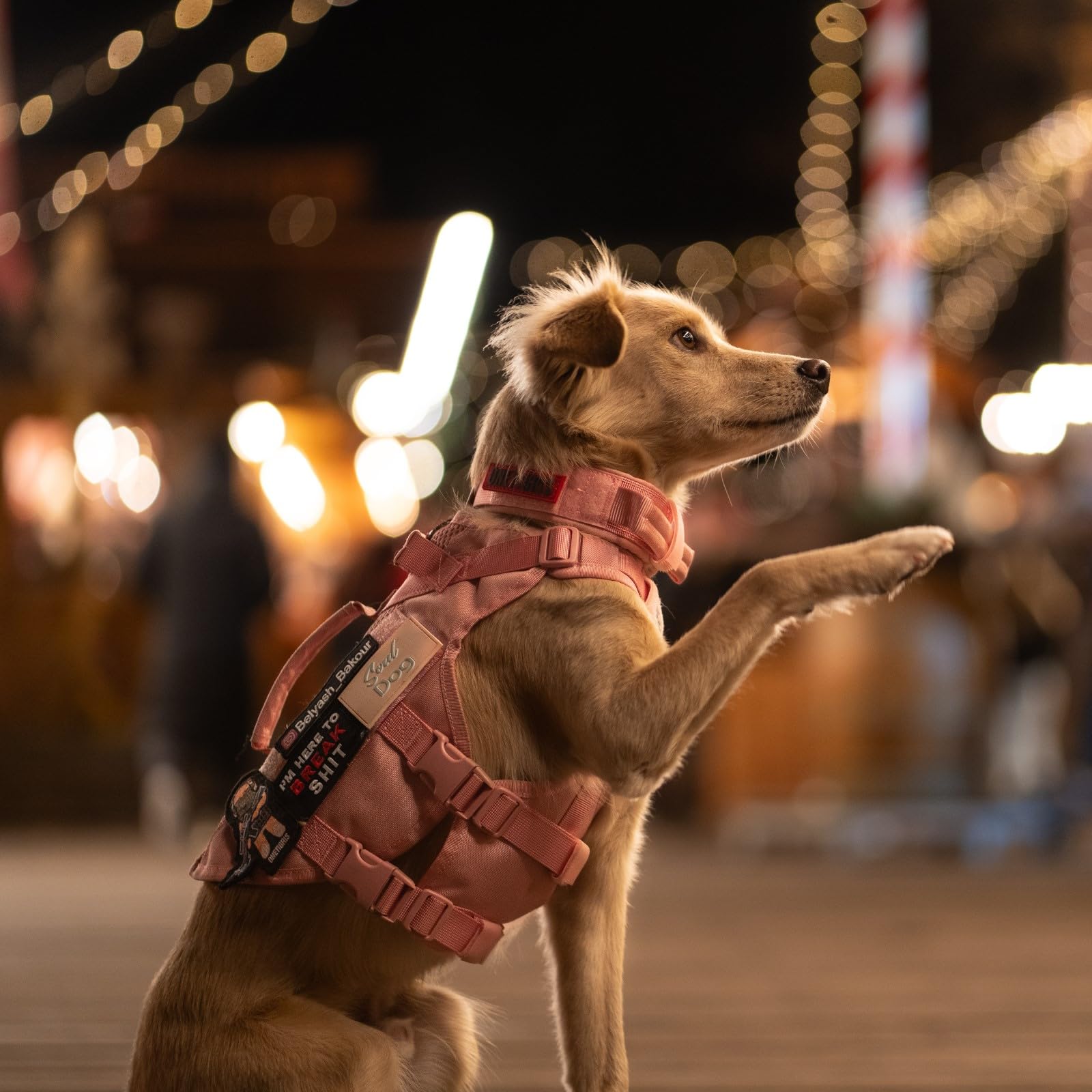 ONETIGRIS pink dog collar large combines style with rugged performance.