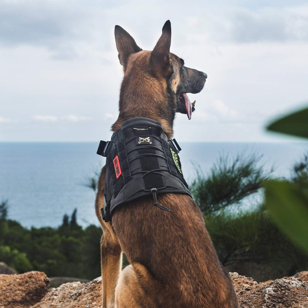 Four quick-release buckles on OneTigris harness for easy on-off.