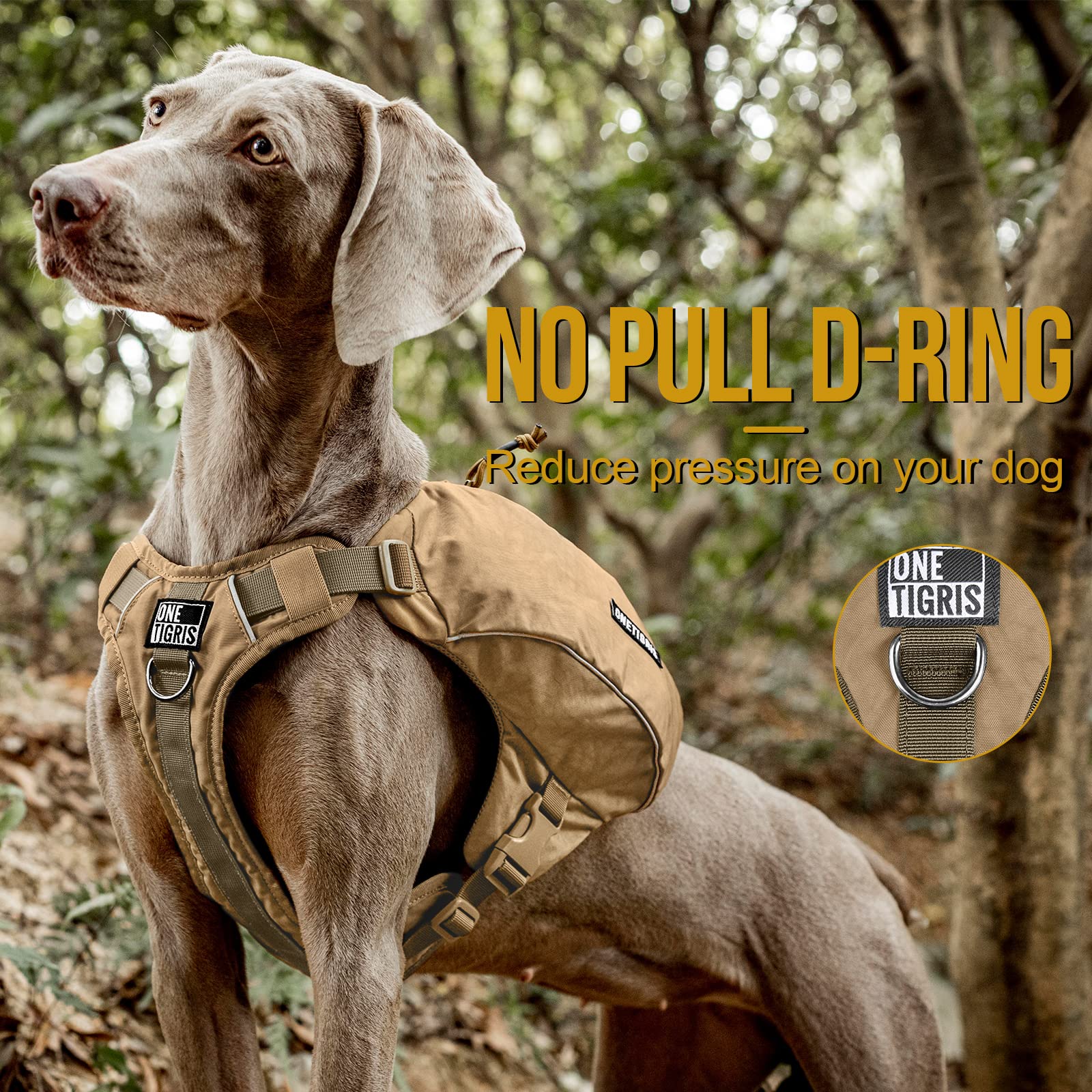 ONETIGRIS reflective trim improves nighttime visibility for safer walks