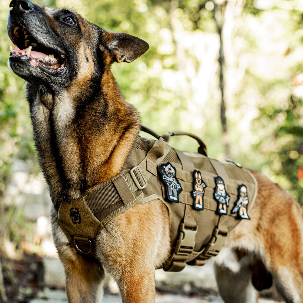 OneTigris service dog vest suitable for walking, hiking, and training.