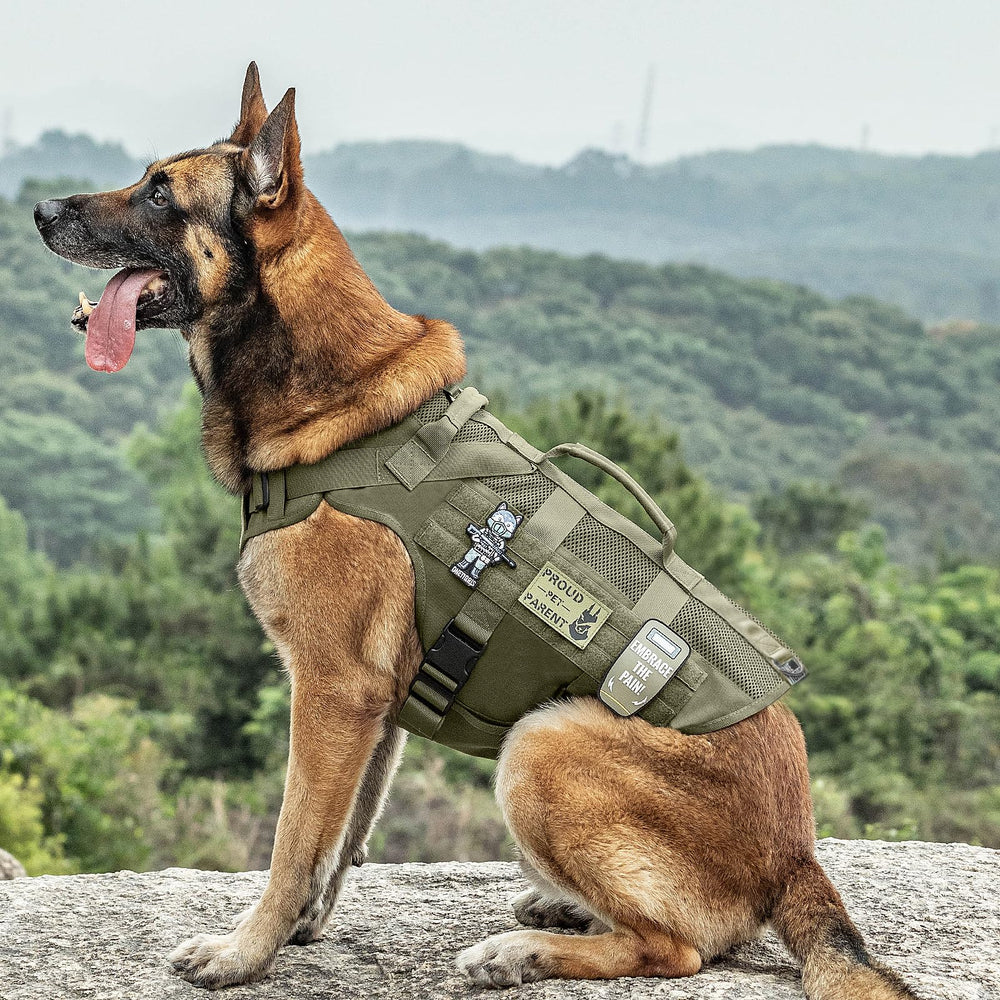 OneTigris service military style vest in green for training and duties.