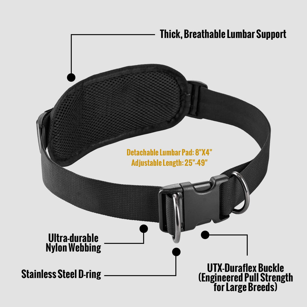 ONETIGRIS shock absorbing bungee leash smooths sudden pulls for better control.