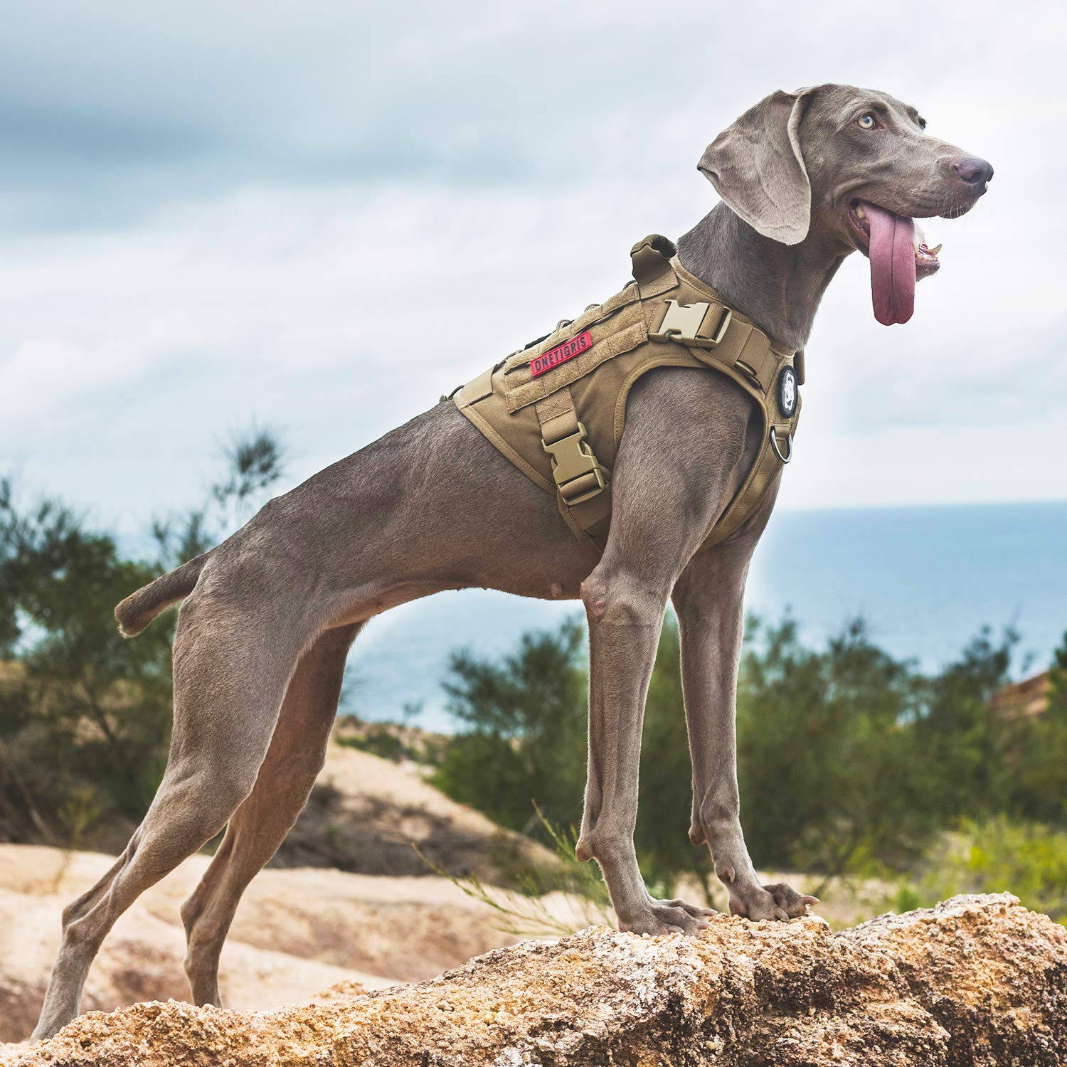 ONETIGRIS adjustable fit with clear size guide for proper dog comfort.