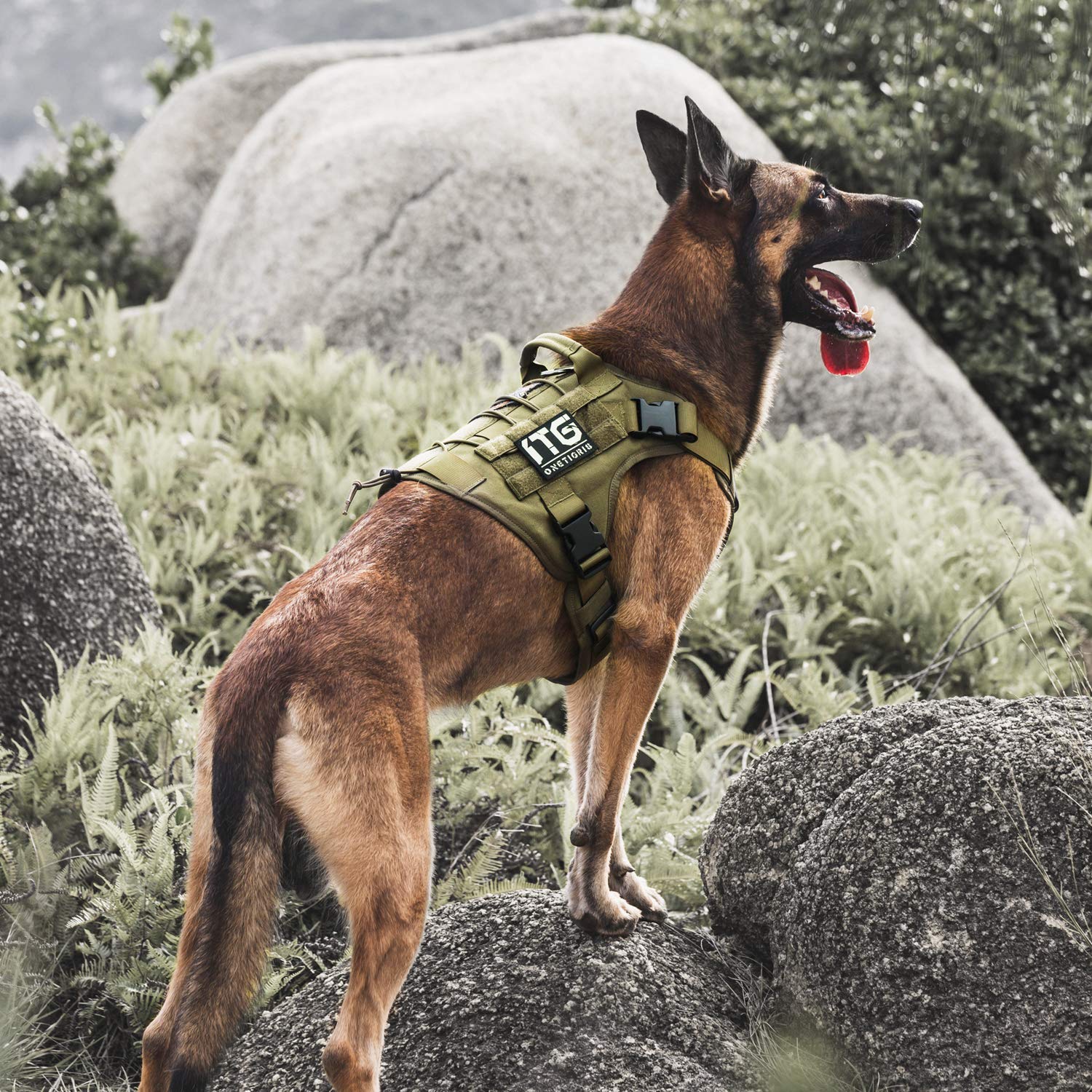 OneTigris adjustable buckles ensure a secure fit and easy on/off.