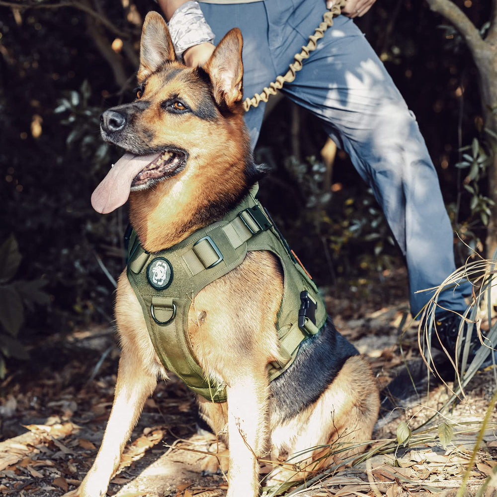 OneTigris available in five colors and five sizes for various dogs.