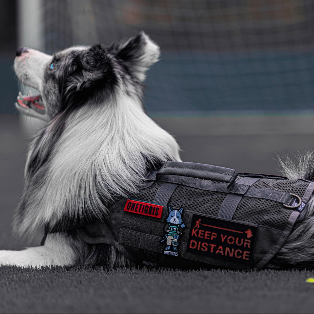 Onetigris tactical dog harness front chest D-ring for training and leash options.
