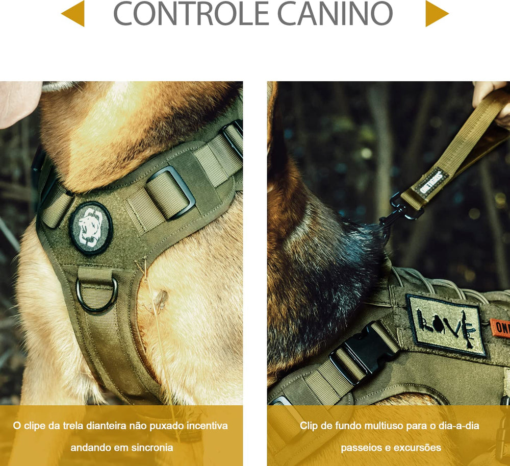OneTigris front V-ring leash attachment for reliable leash setup.