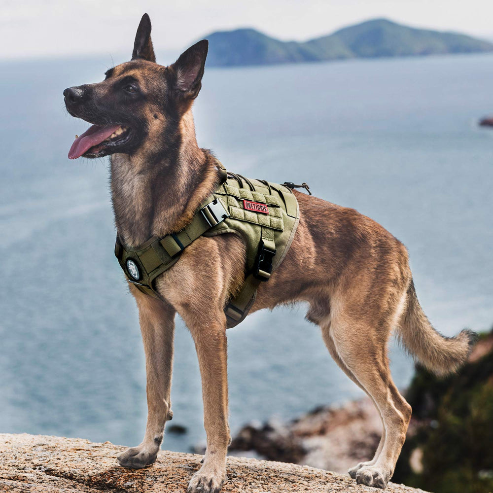 OneTigris harness with Velcro morale patch panel for quick ID branding.