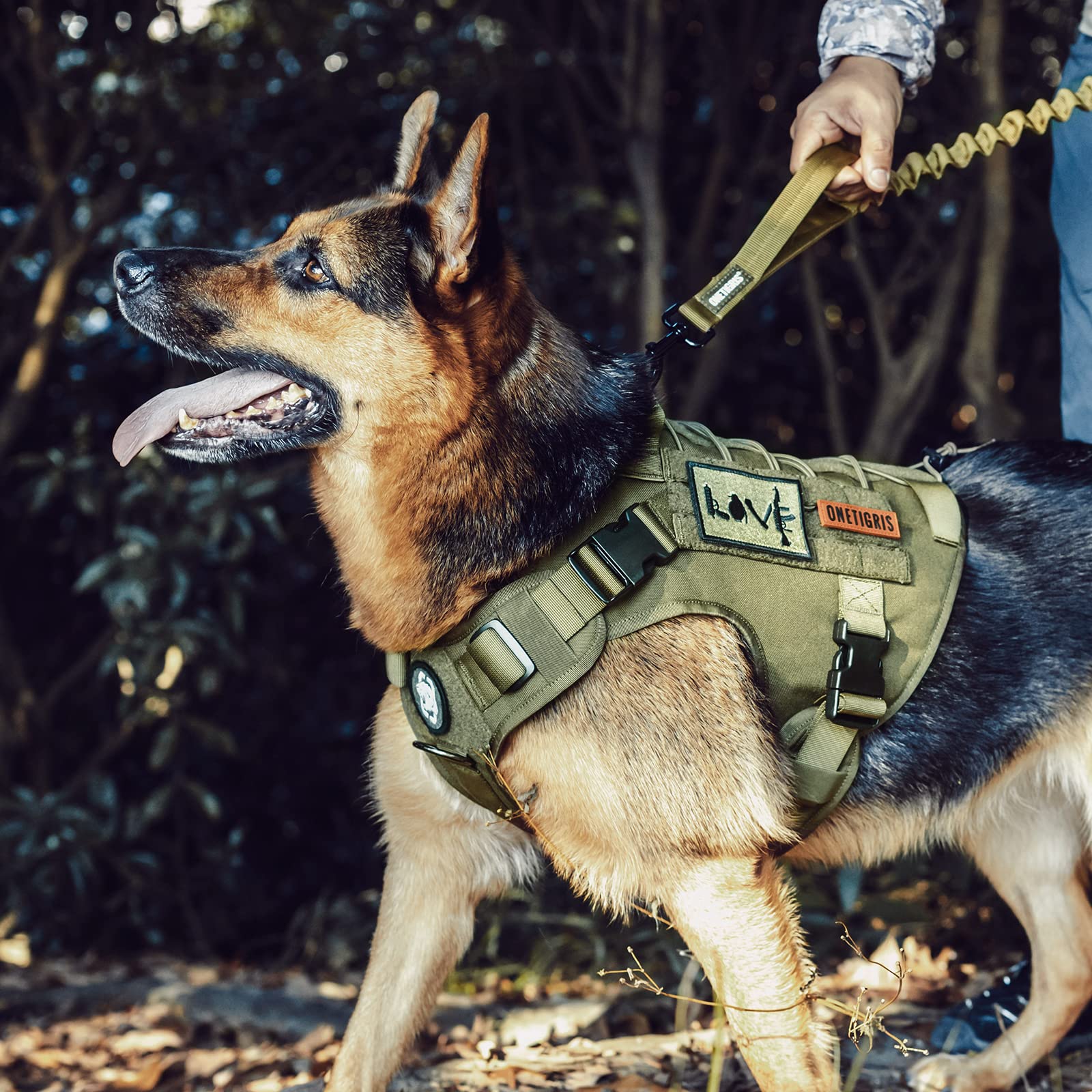 OneTigris hook-and-loop patch panels for IDs and morale patches on the harness.