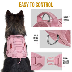 OneTigris patch panels on harness for easy ID badges during walks