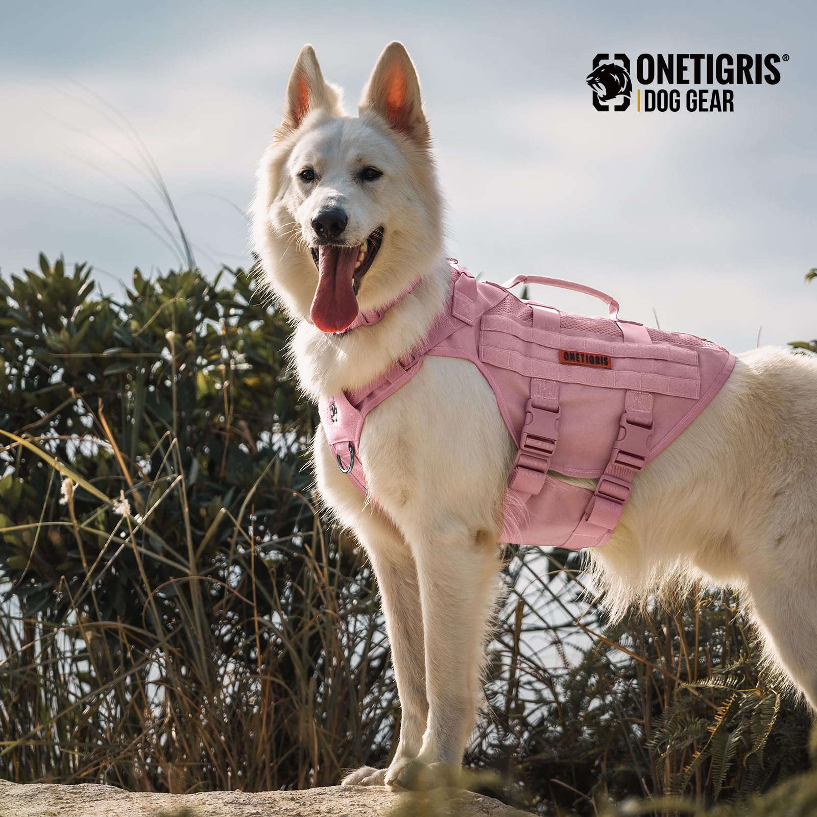 OneTigris pink back D rings for training and control