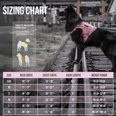 onetigris pink XXS harness side view showing side straps and patches