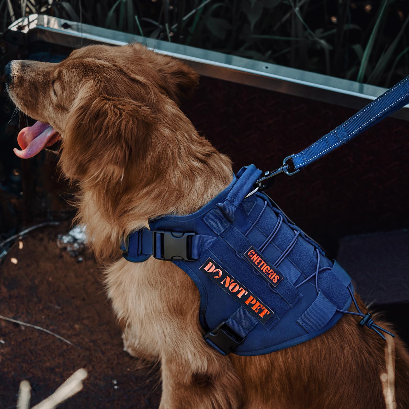 OneTigris tactical dog harness side view with MOLLE panel for accessories