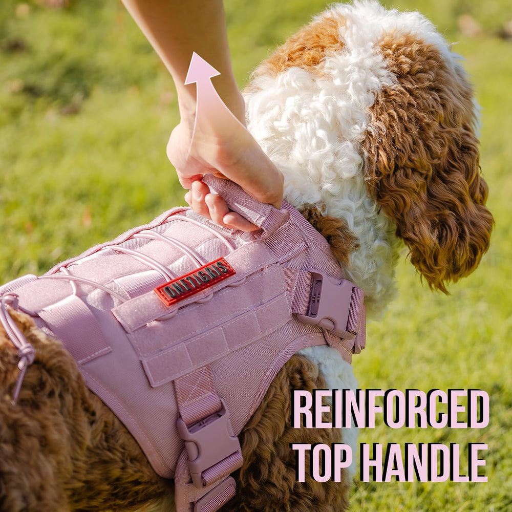 OneTigris size chart helps find the perfect fit for your dog