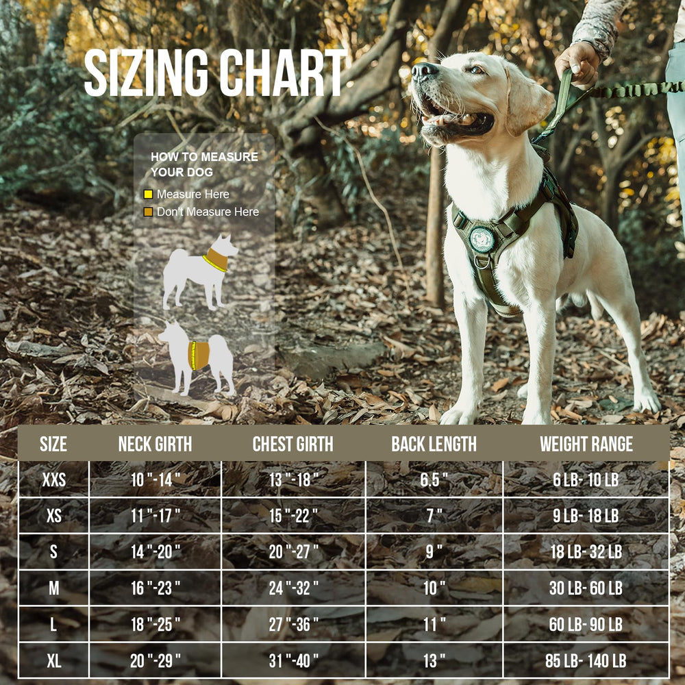 OneTigris harness top handle enables quick traffic control during outdoor adventures.