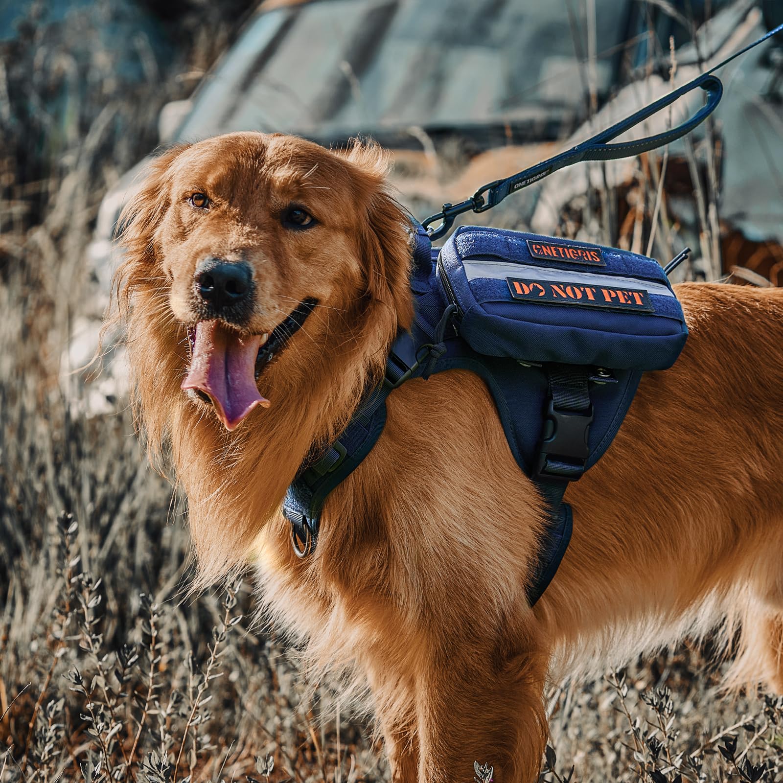 OneTigris blue padded straps on harness for comfort during long hikes.