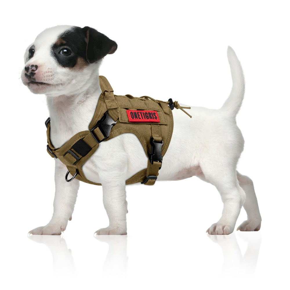 OneTigris tactical dog harness front view showing a secure fit for walking
