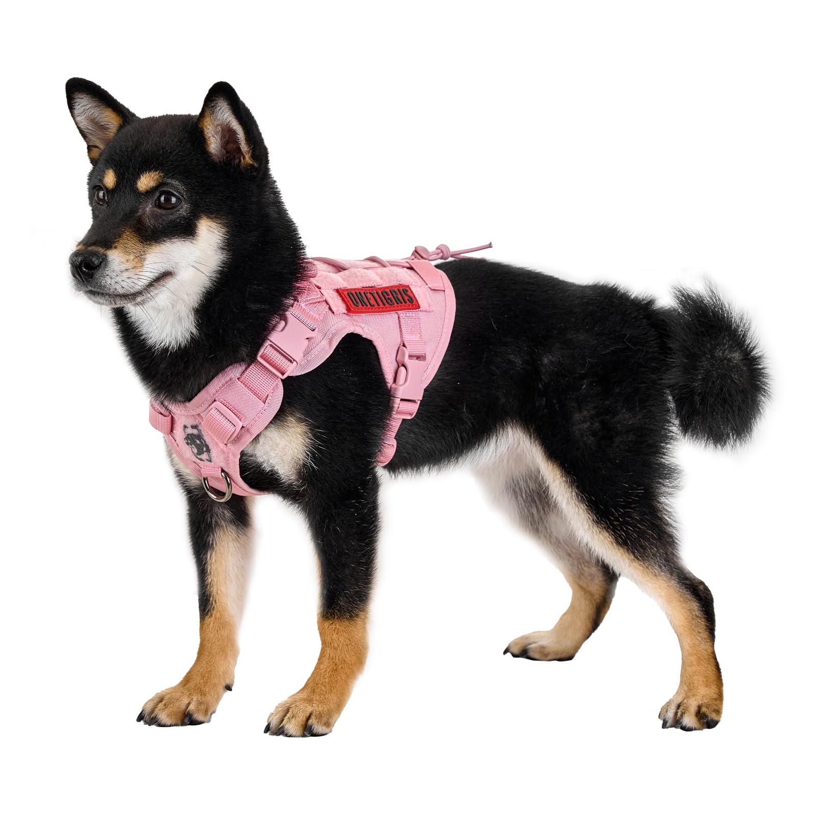 ONETIGRIS dog harness front view showing secure no-pull fit for daily walks.