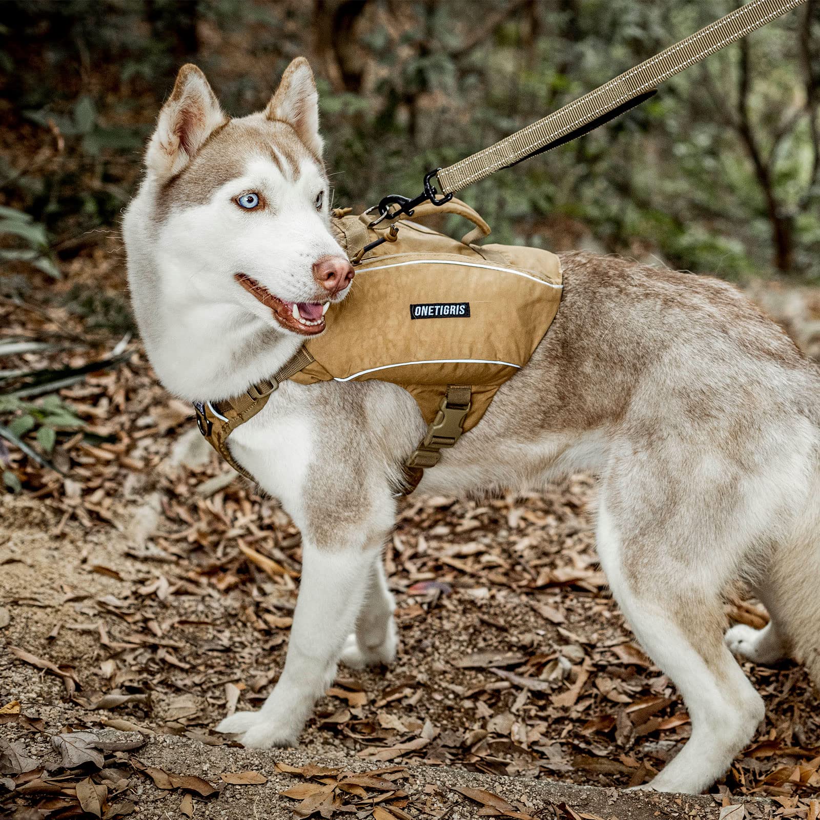 ONETIGRIS adjustable buckles fit medium to large dogs for a secure, comfortable fit